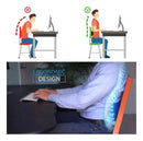 Cojin Para Apoyo De Columna